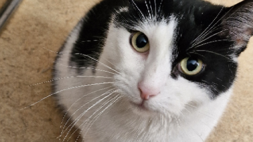 Wunschfahrt zur Verabschiedung vom Kater